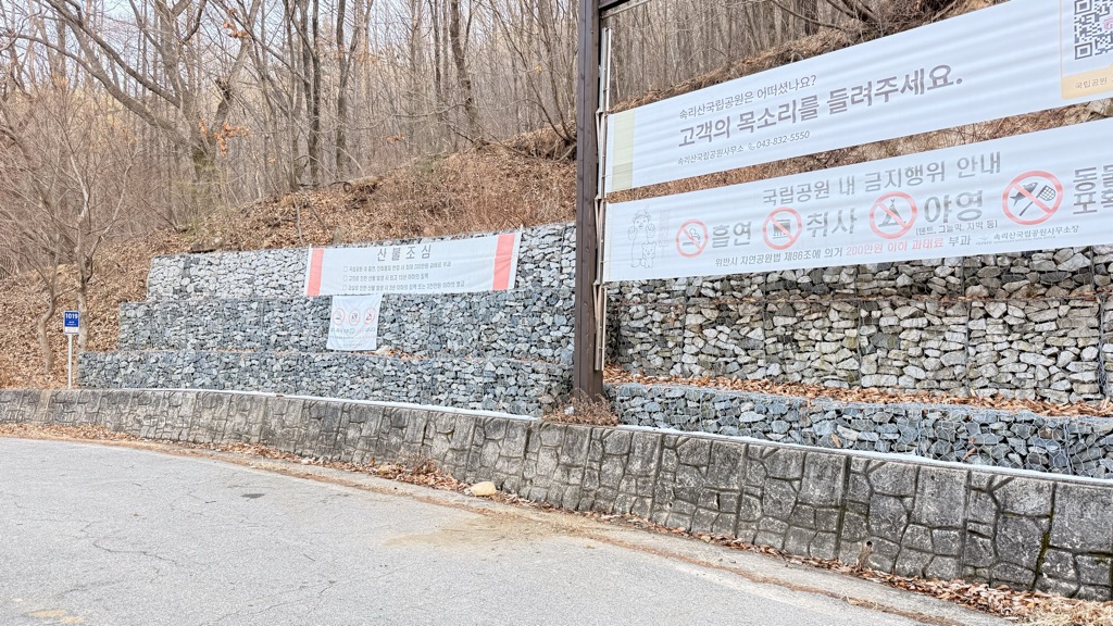 Jesurijae