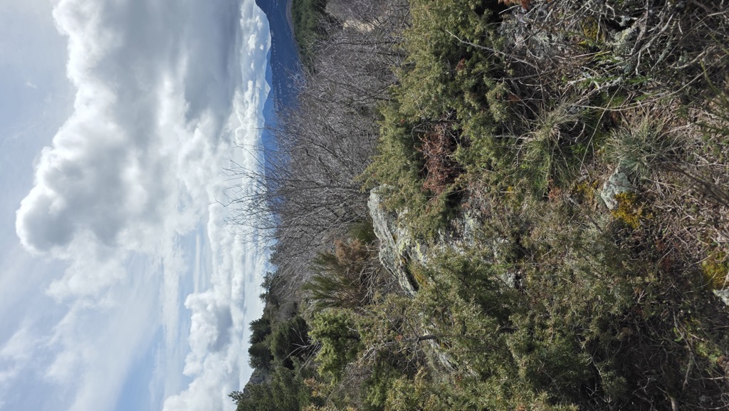 La Creu del Canonge