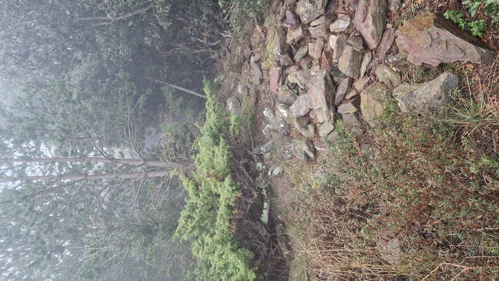 Puig del Faig