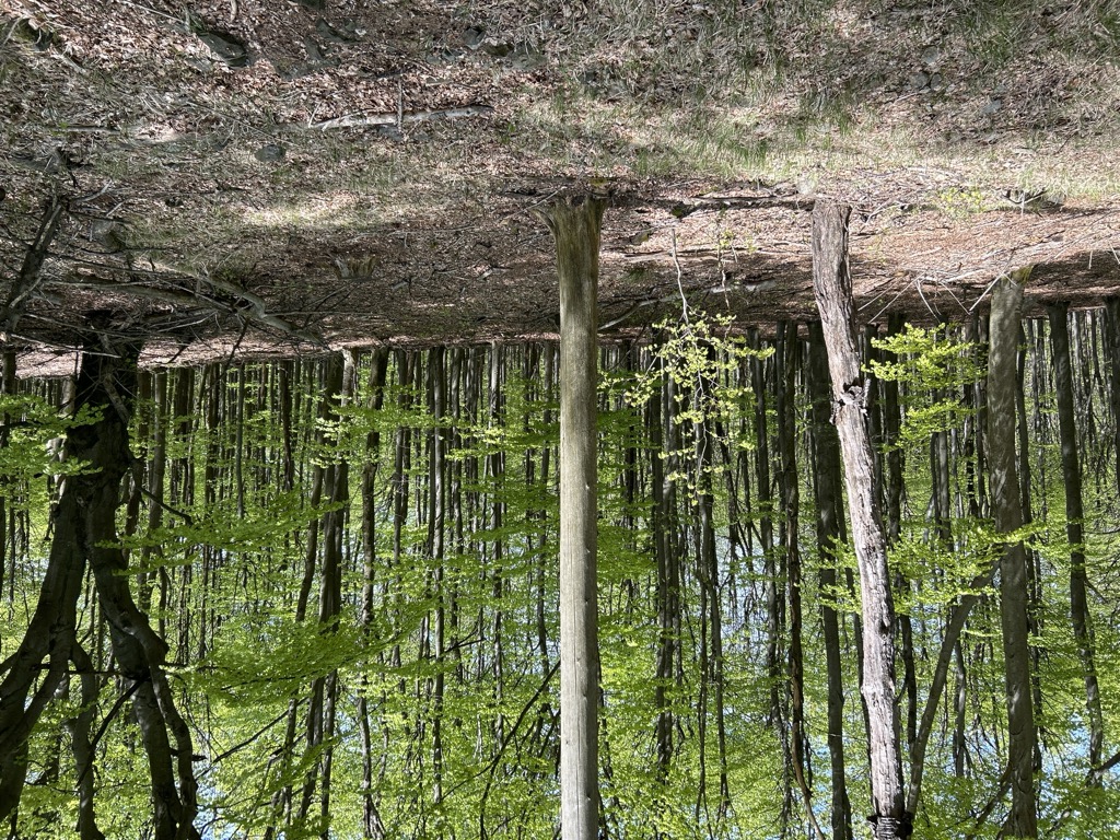 Závršie