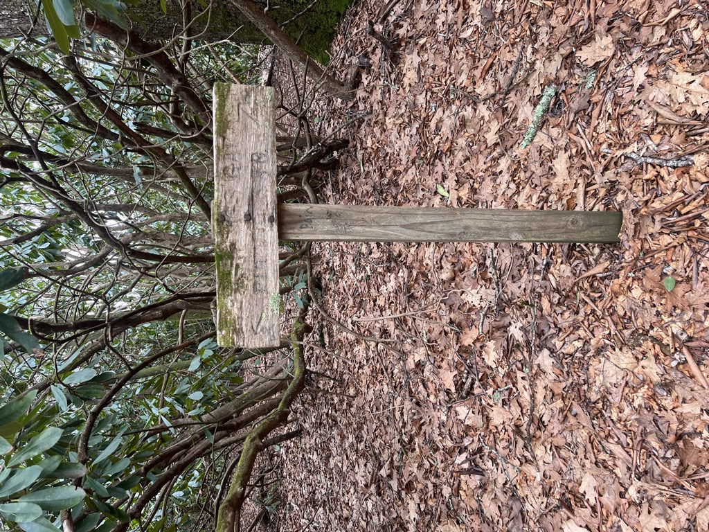 Bigspring Gap