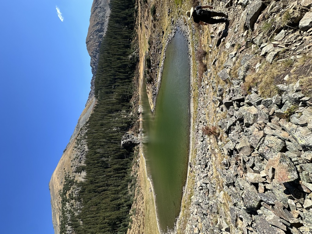 Williams Lake