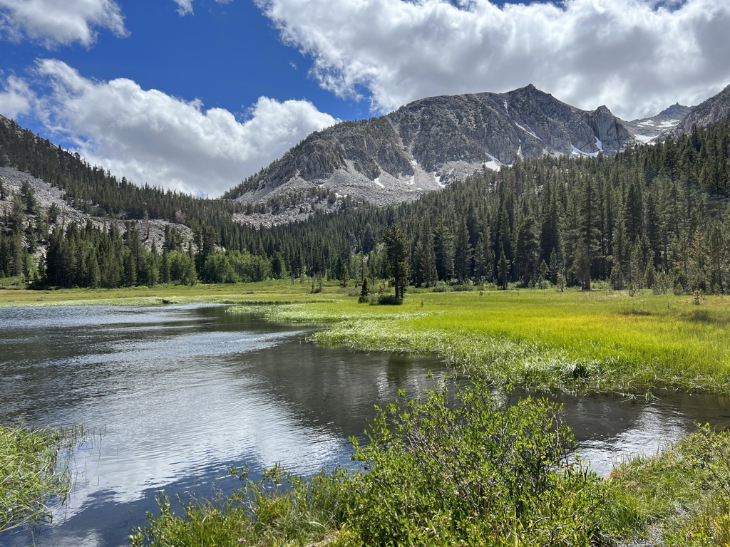 Grass Lake