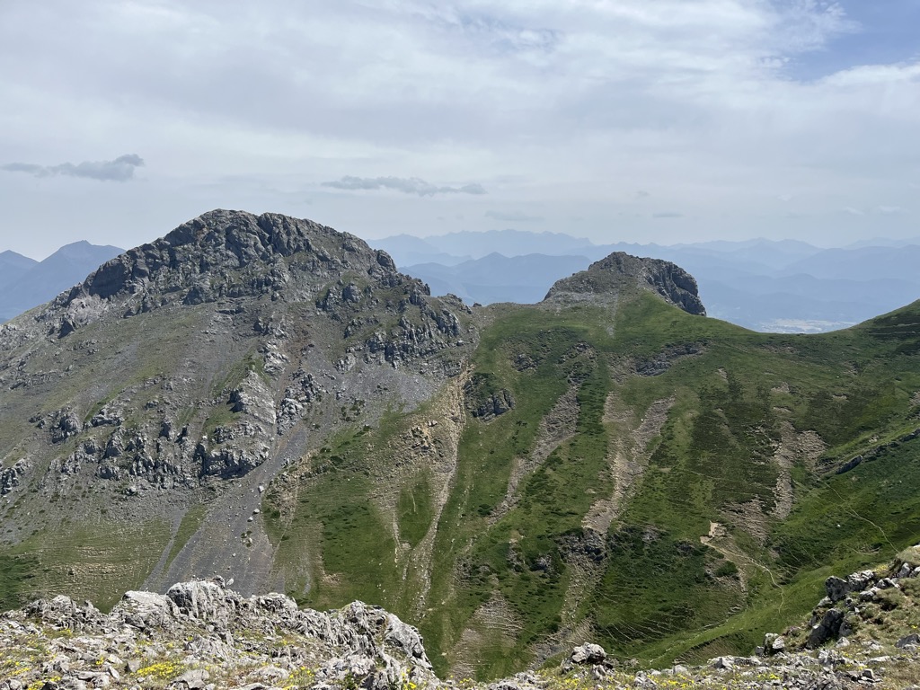 La Polinosa