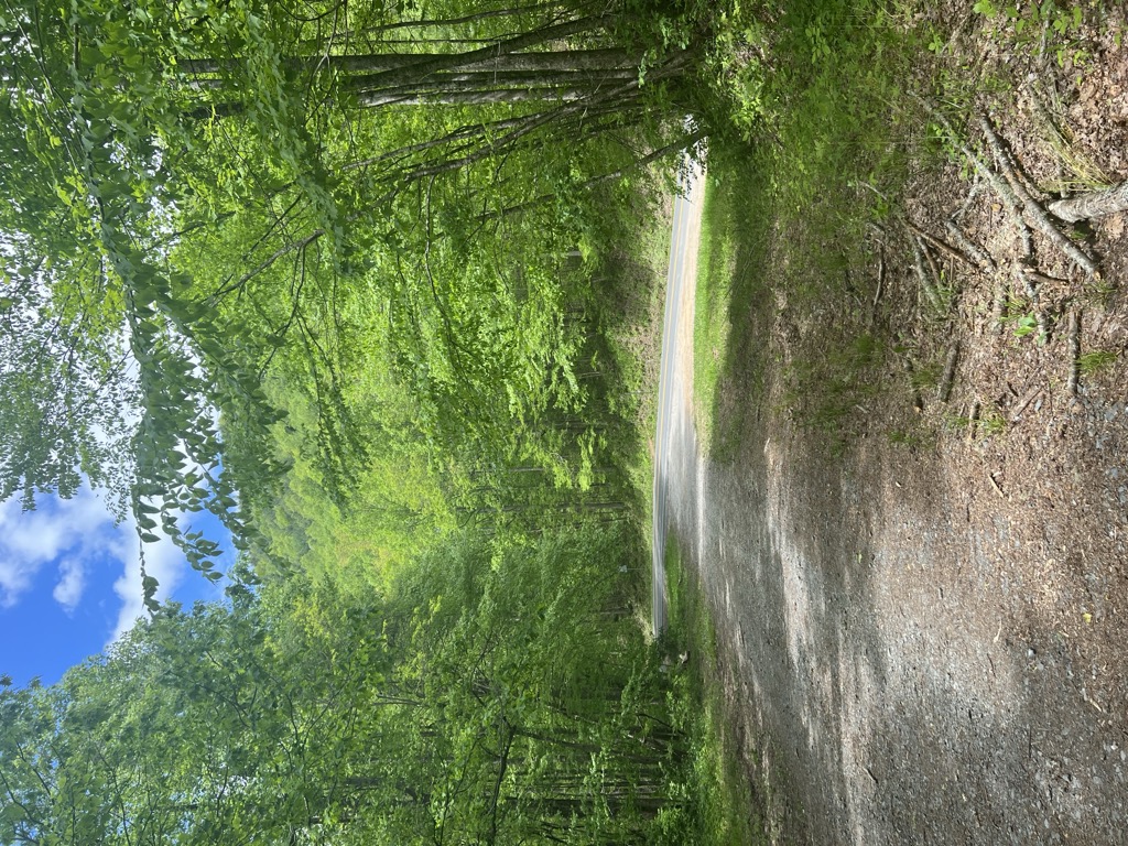 Yellow Creek Gap