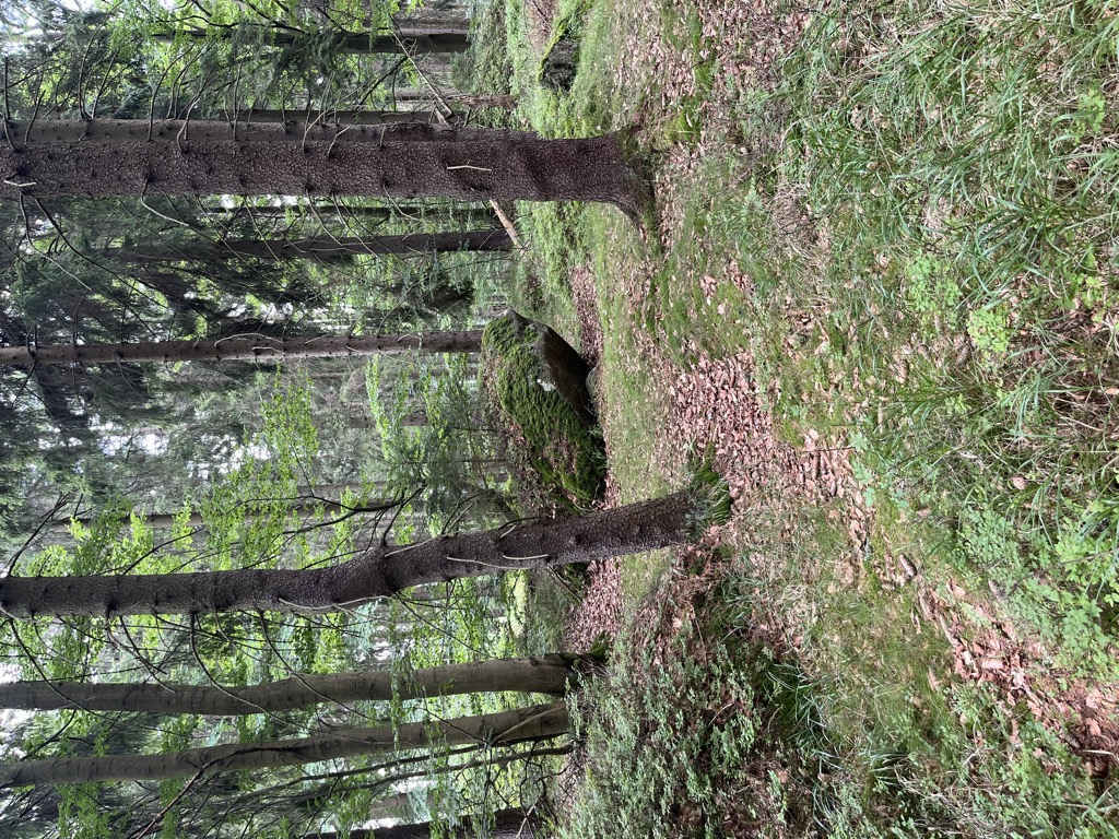 Dlouhý Kopec