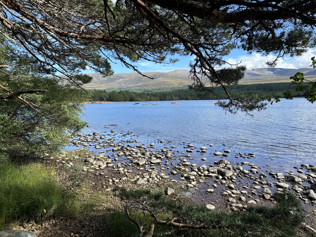 Loch Morlich