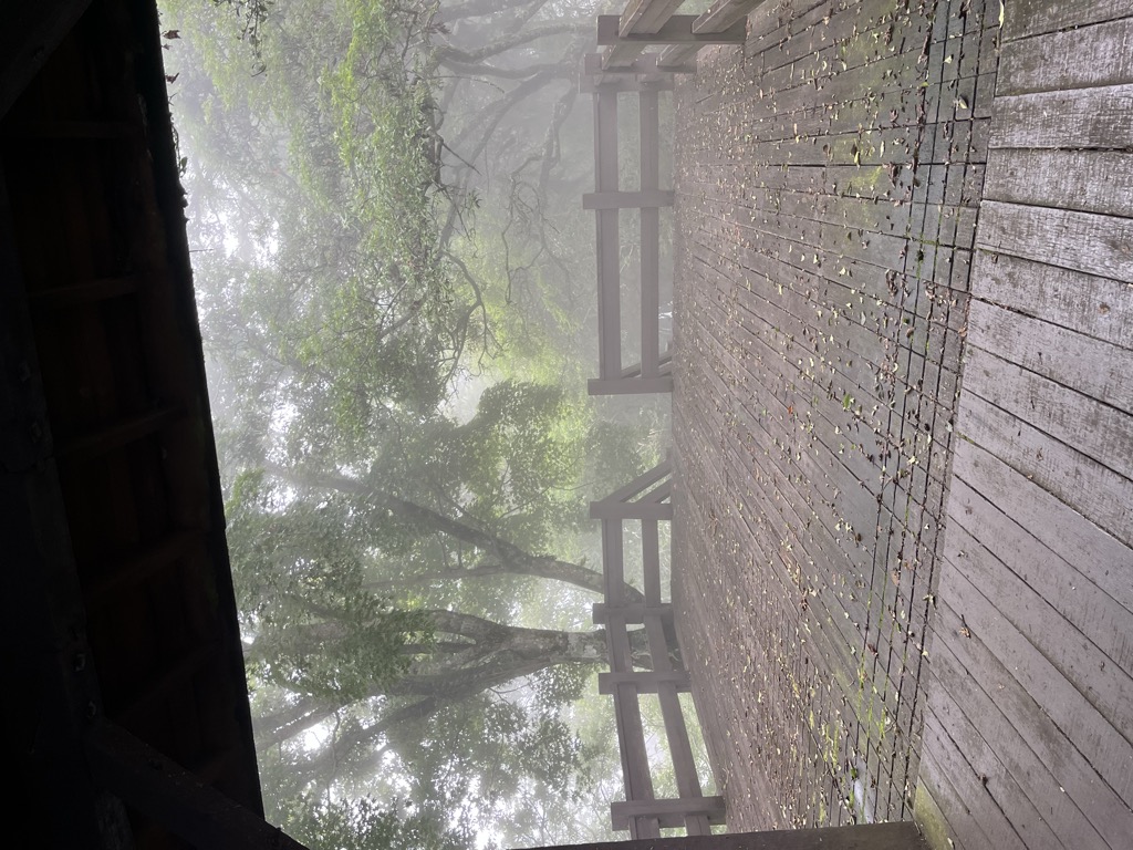Duigaoyue