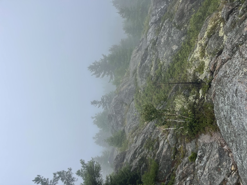 Treadway Mountain