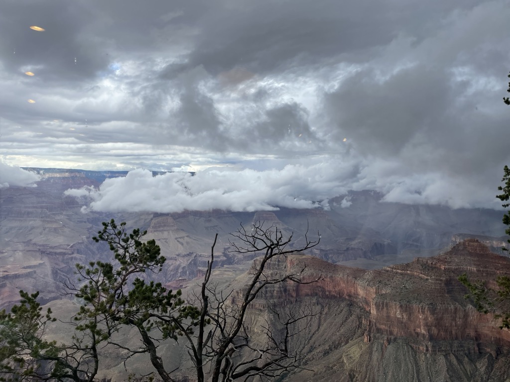 Yavapai Point