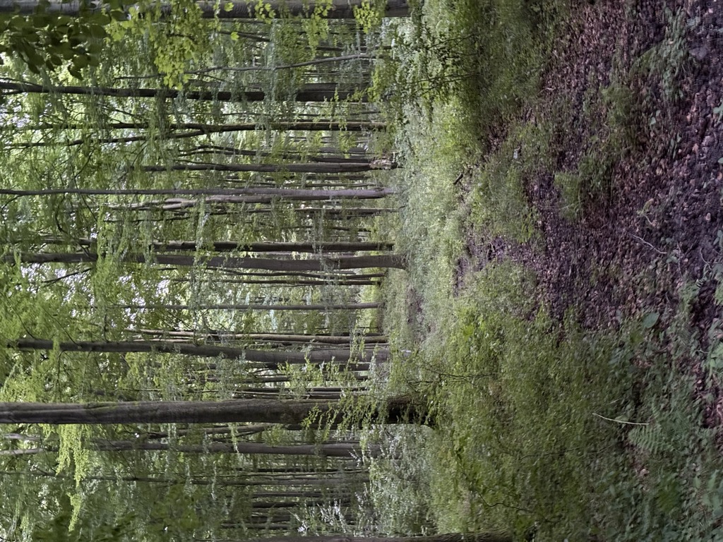 Hiltenberg