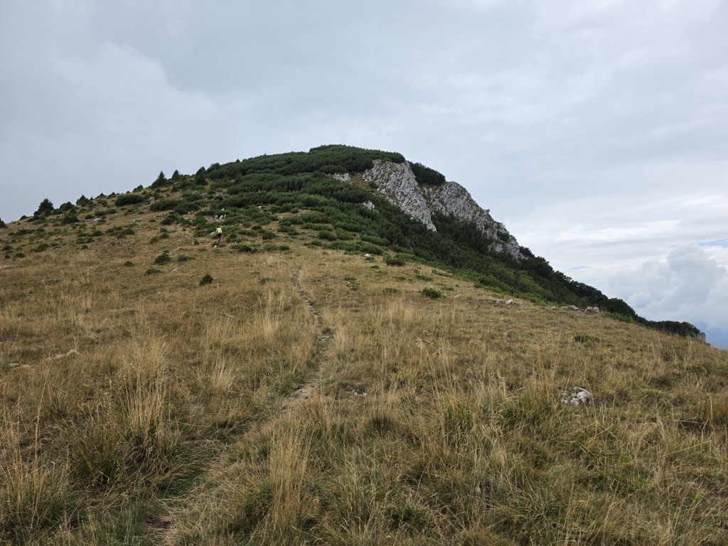 Șaua Ștevioara