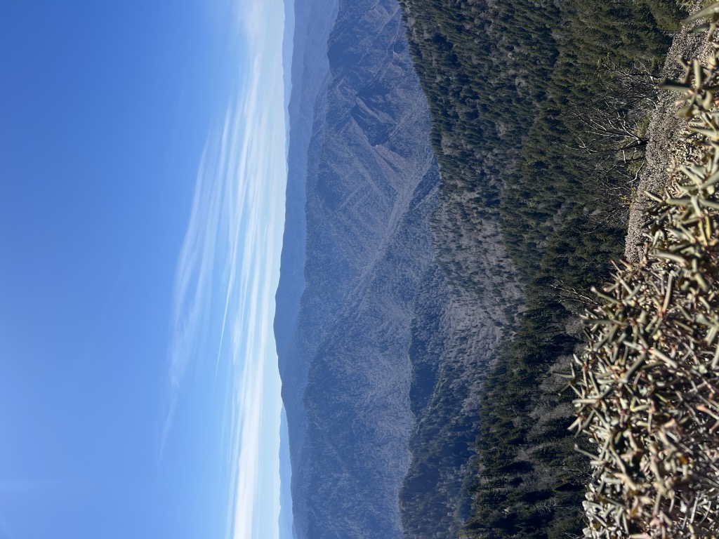 Cliff Top