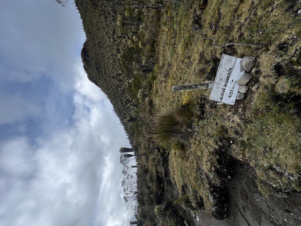 Alto de Boquerón