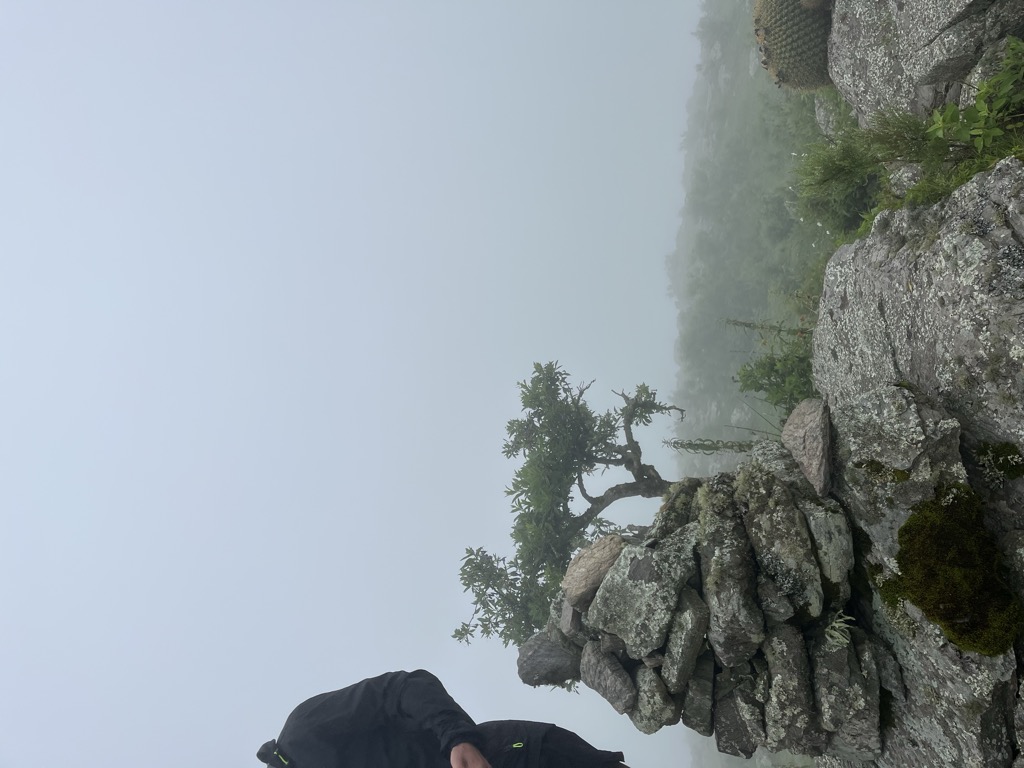 Cerro El Pelao