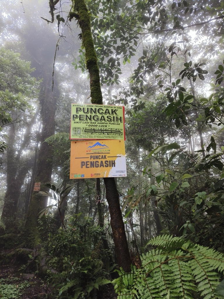 Puncak Pengasih