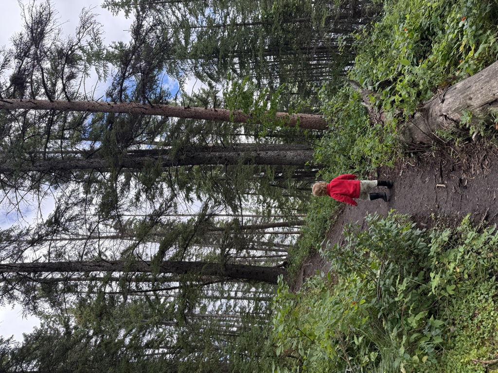 Reesor Lake Campground