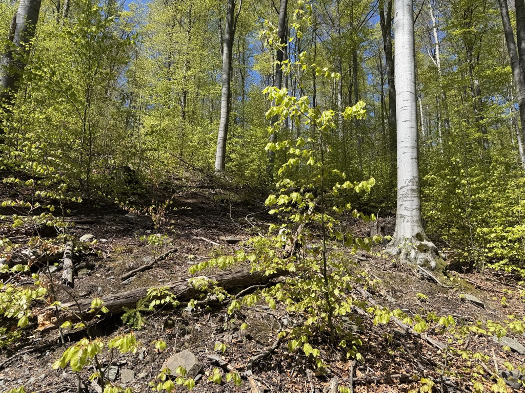 Pasterska Góra
