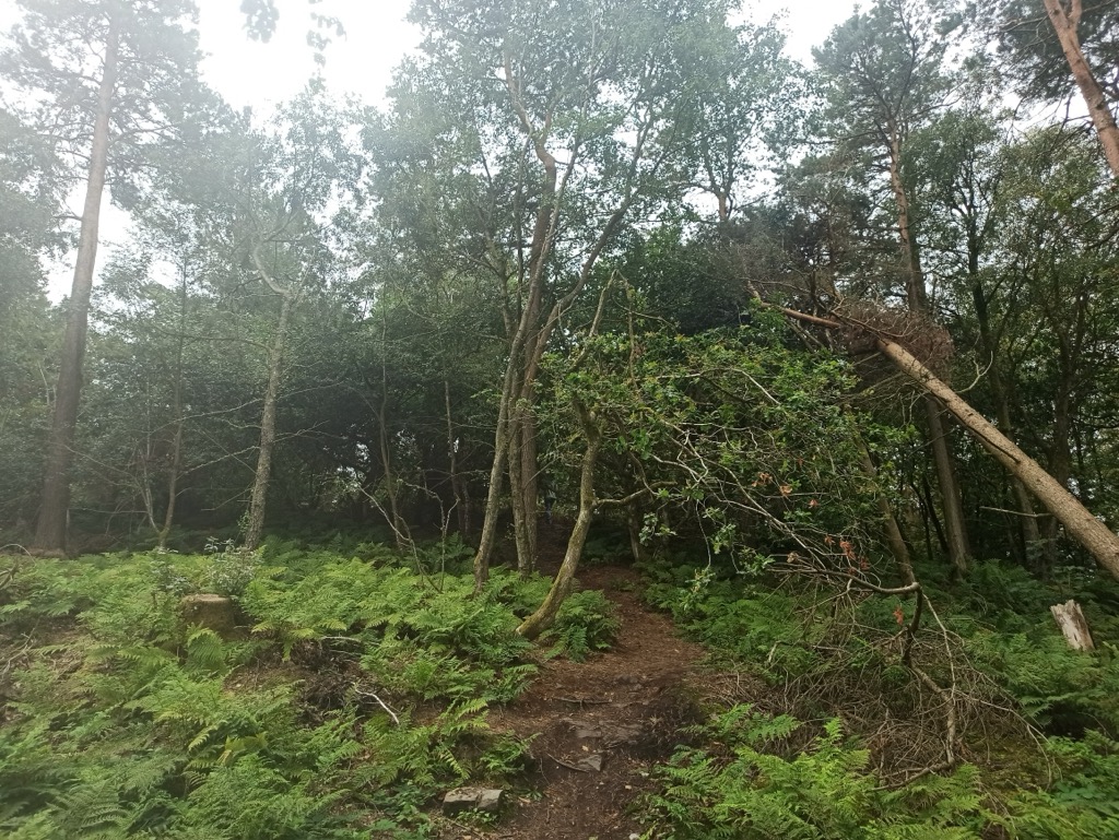 Mynydd Y Cwm