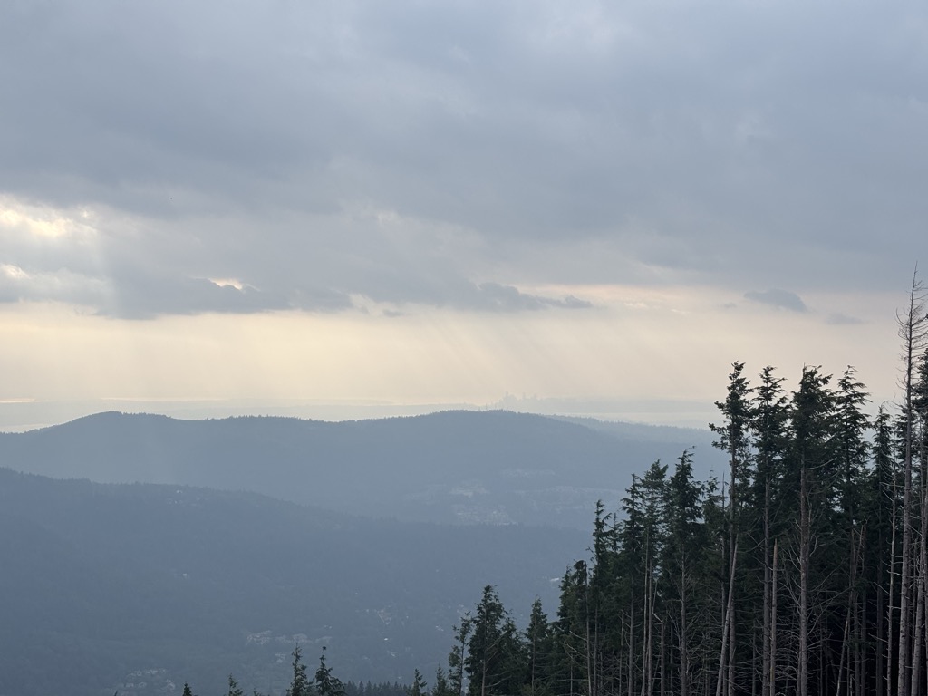 West Tiger #3