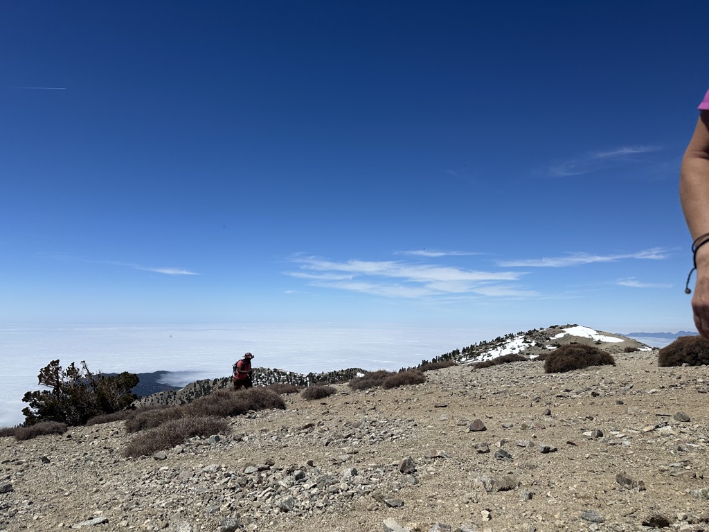 Mount San Antonio