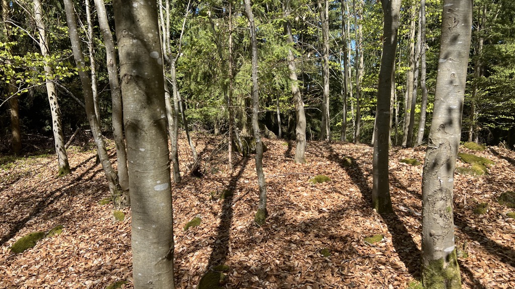 Polední vrch