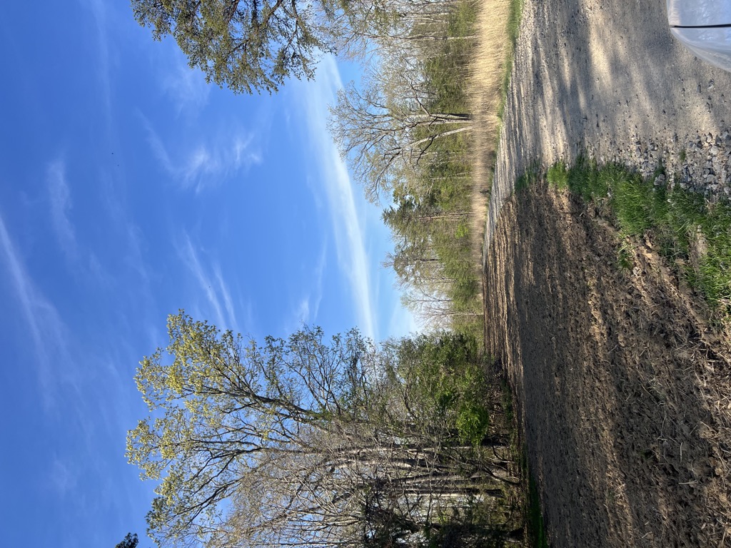 Hicks Mountain