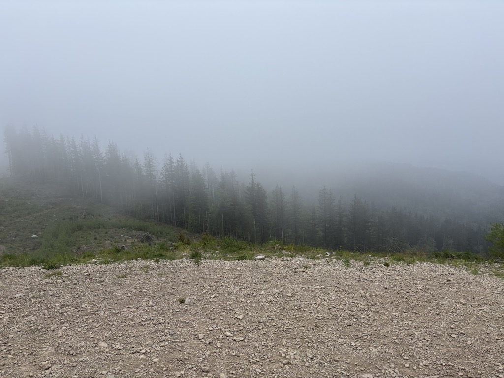West Tiger #3