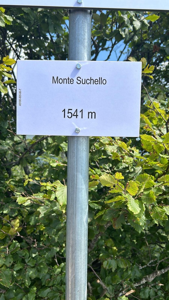 Chiara Mandelli