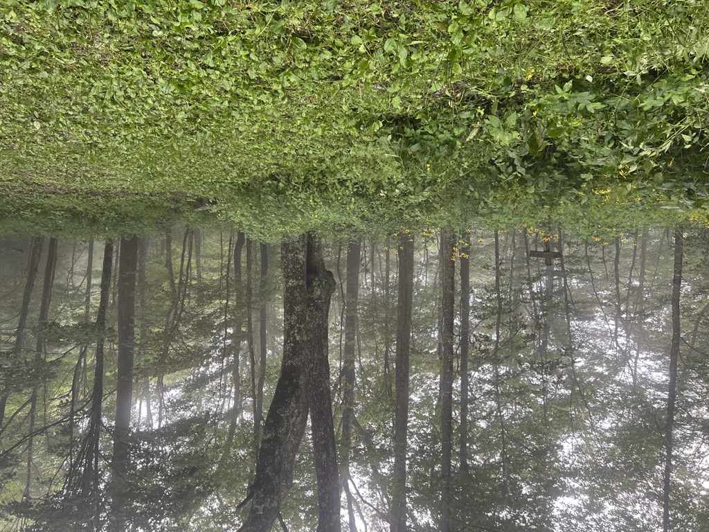Cold Spring Gap