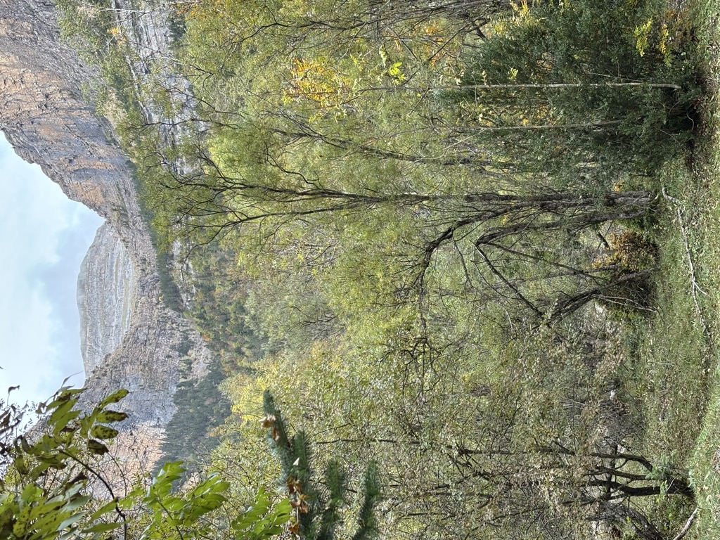 Cabaña Cadiera