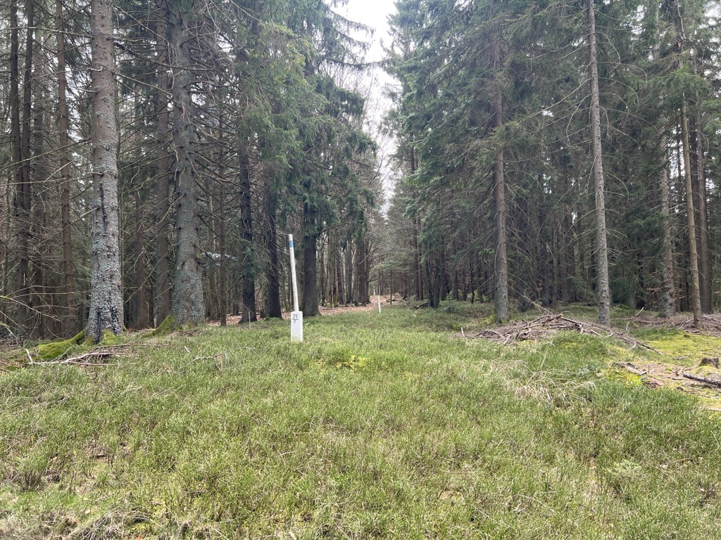 Přední kopec