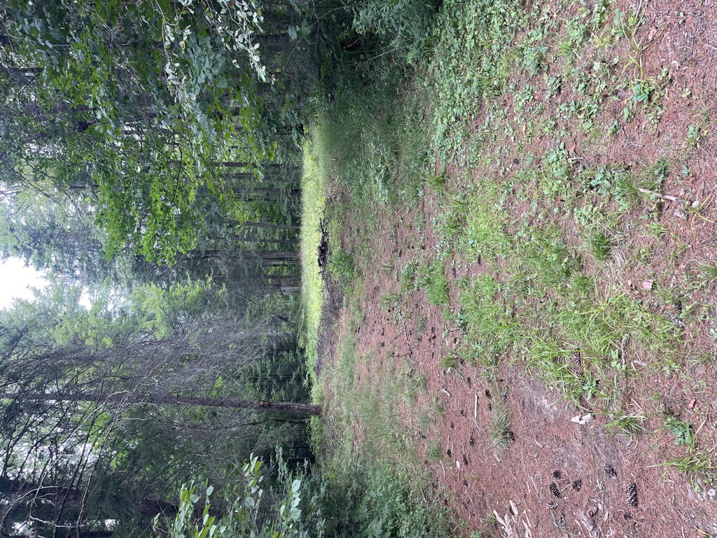 Site 2