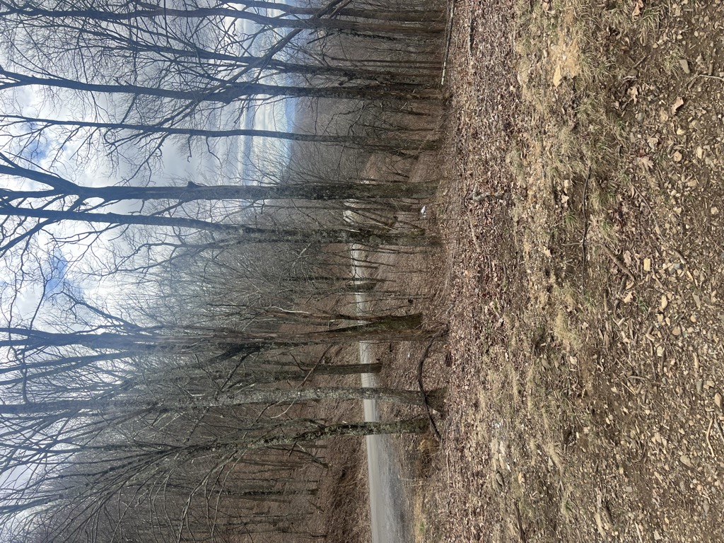 Hughes Gap