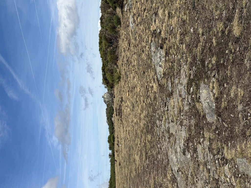 Peña del Águila
