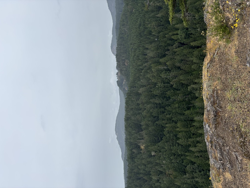 Sugarloaf