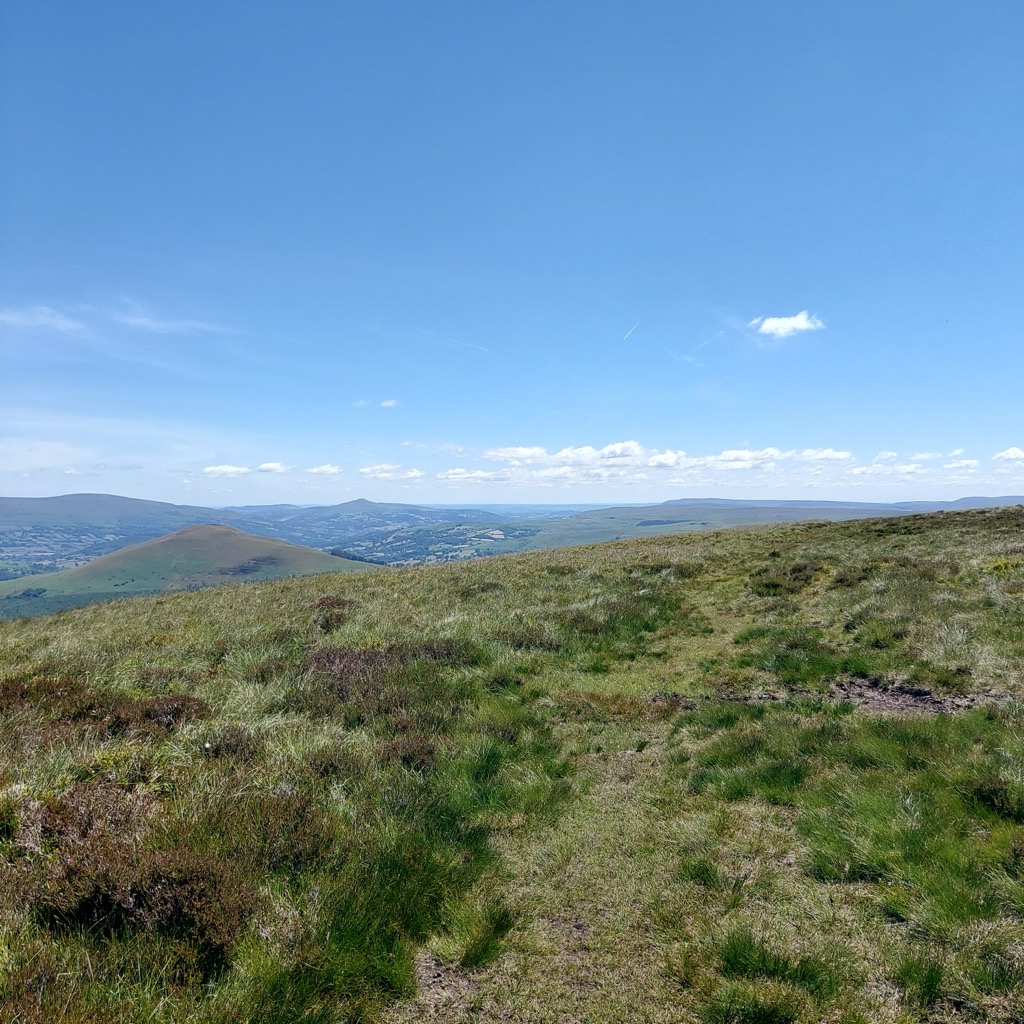 Allt Lwyd