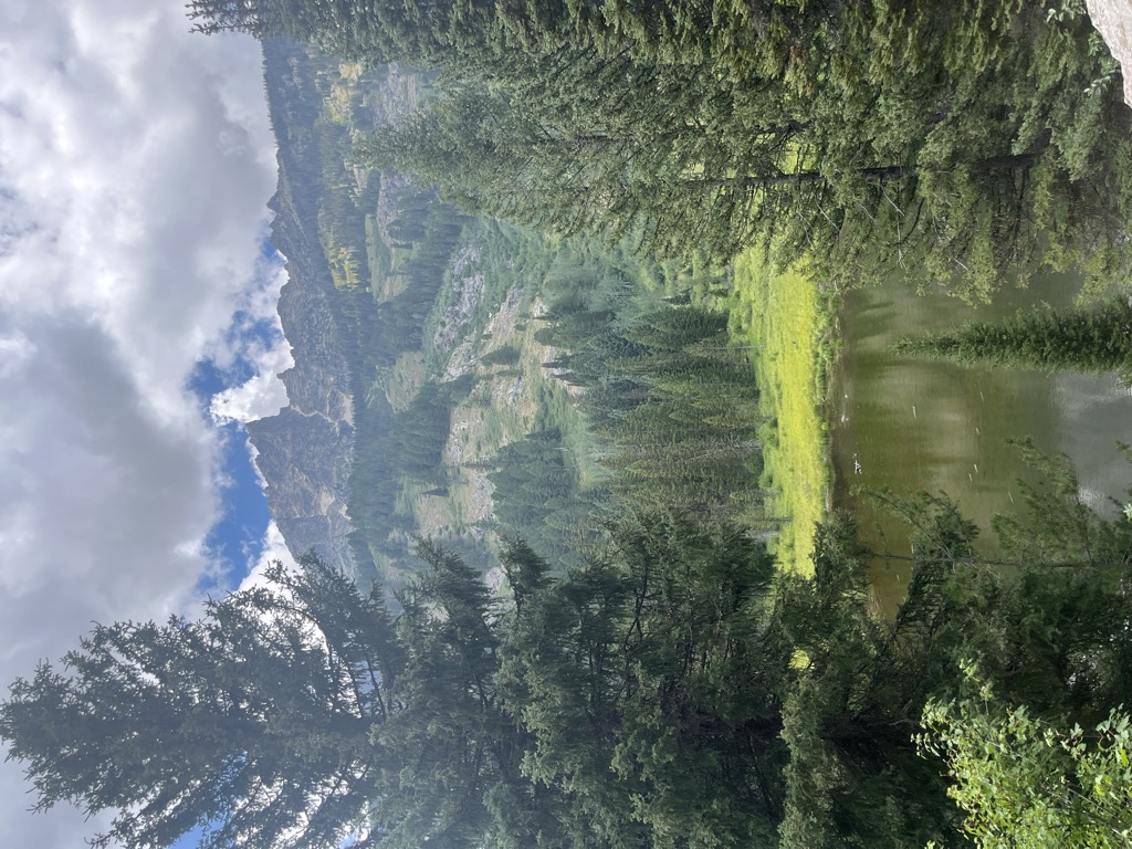 Moose Pond