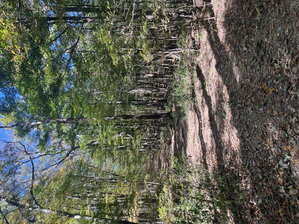 Emory Gap