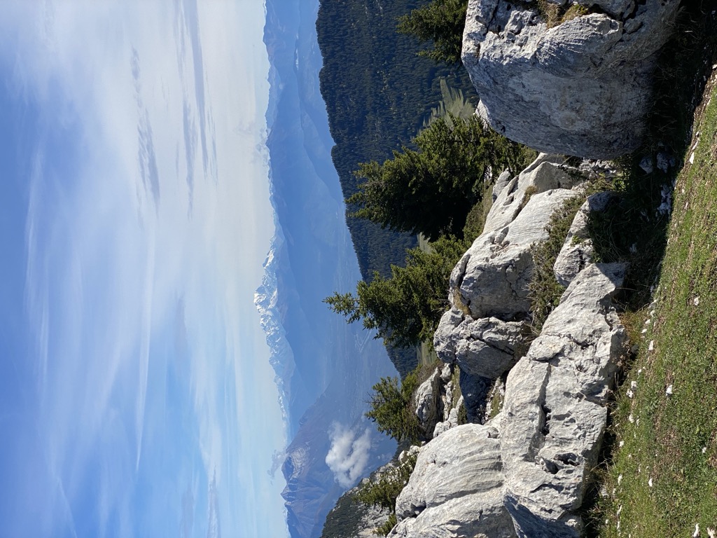 Le Pinet