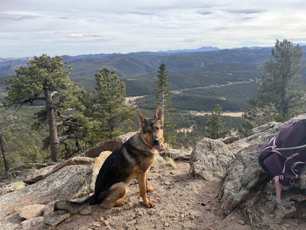 Taylor Mountain