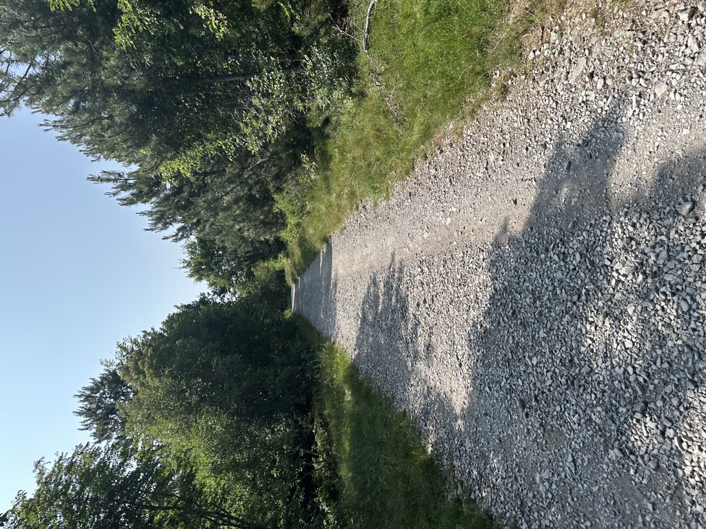 Žleb
