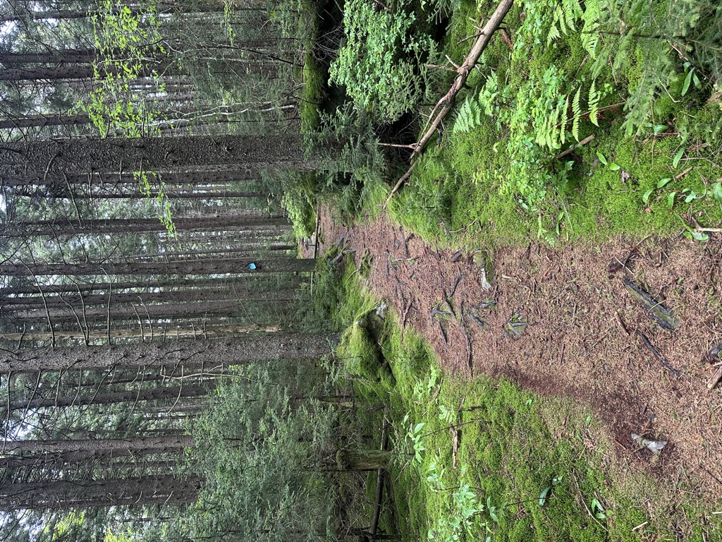 Red Spruce Knob