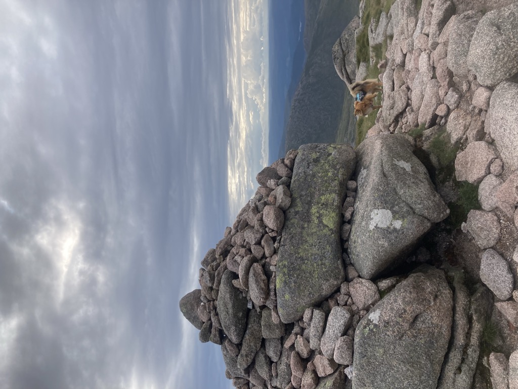 1141m
