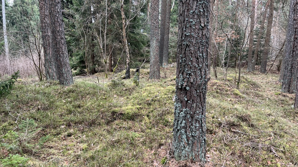 Herbertovský vrch