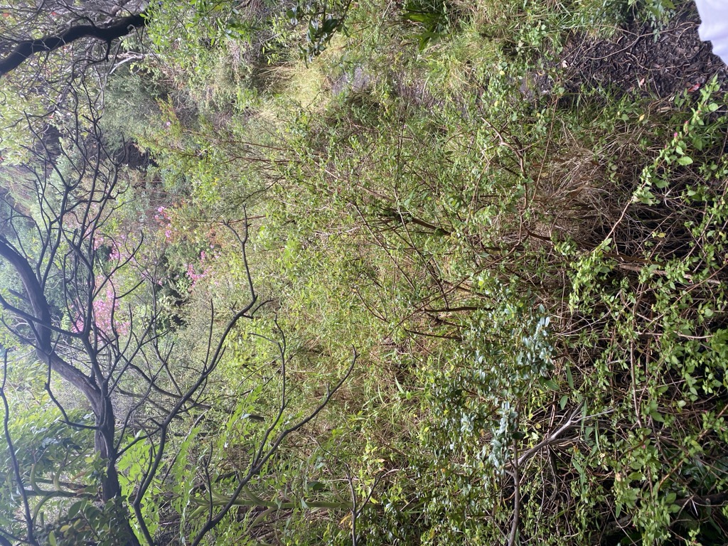Cerro Retes
