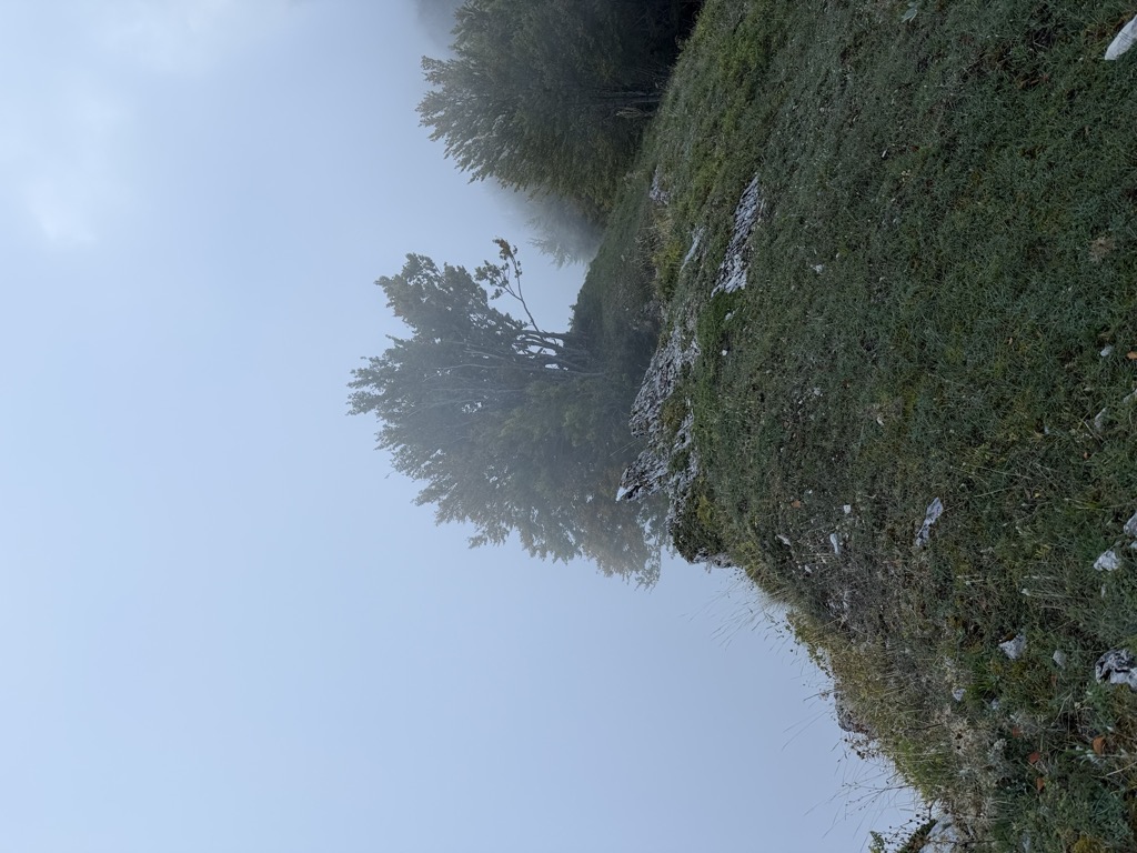 Vetta sud del Montagnone