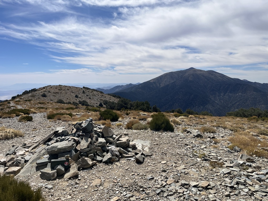 Wildrose Peak