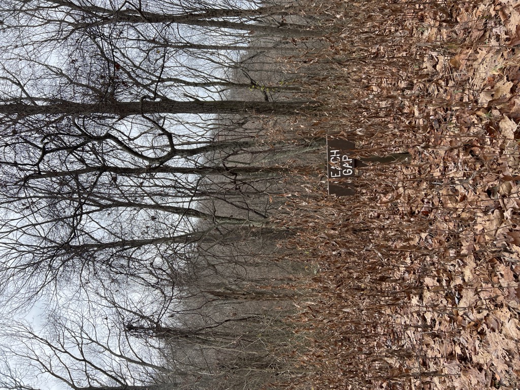 Peach Orchard Gap