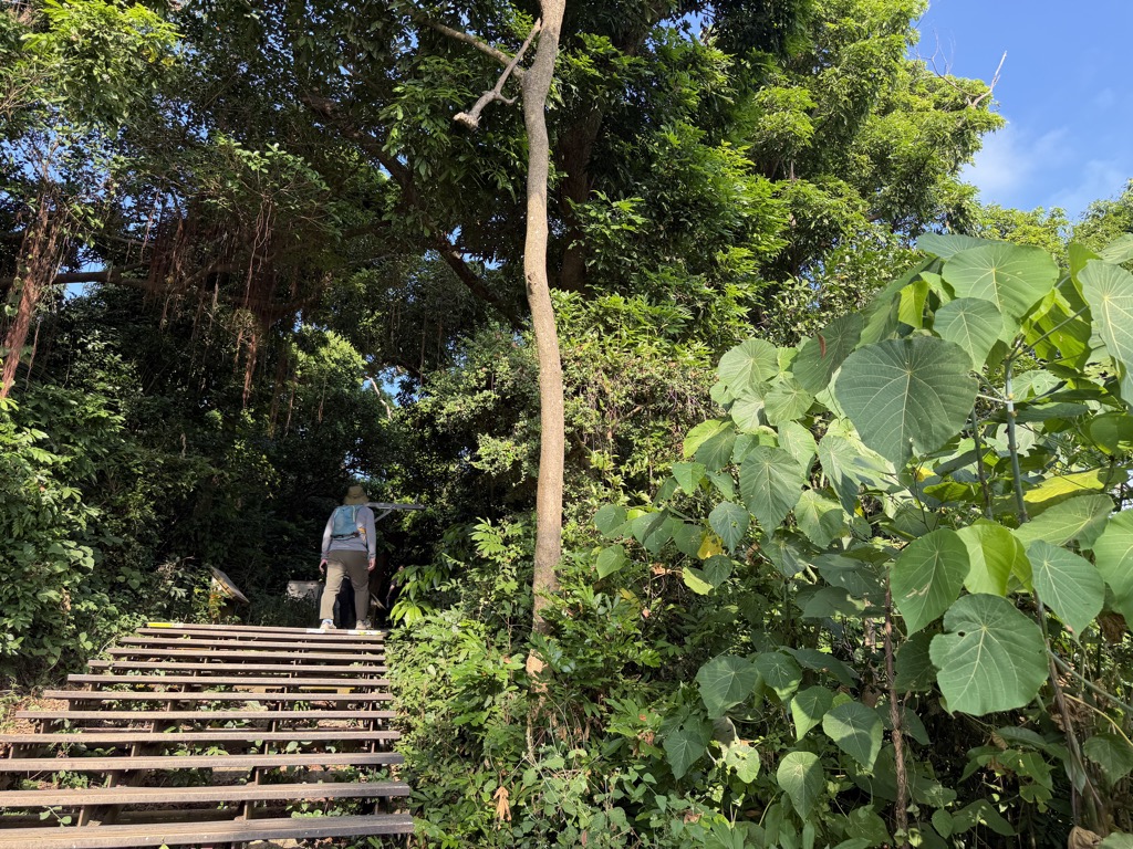 內惟 圖根補點 補鄧(28)